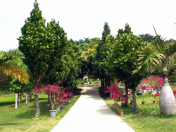 沖縄県内最大の人口熱帯植物園である宮古島市熱帯植物園