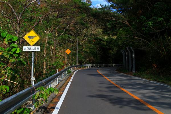 国頭村や東村には、ヤンバルクイナへの注意喚起の看板がある