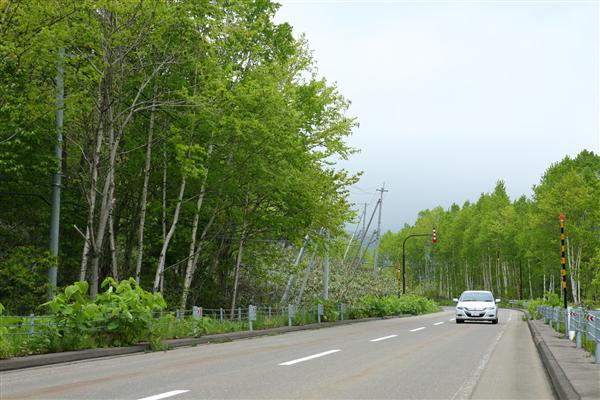 最新の車でのドライブは旅の思い出にも
