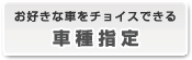 �Ԏ�w��