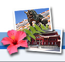 �n�C�r�X�J�X�E�V�[�T�[�E�񗢏�